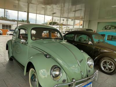 Hoje Ã© o Dia Nacional do Fusca